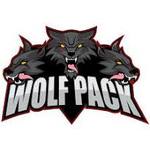 Minnesota Wolfpack